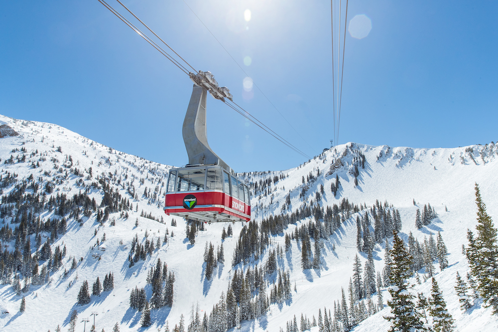 Snowbird Internet.jpg
